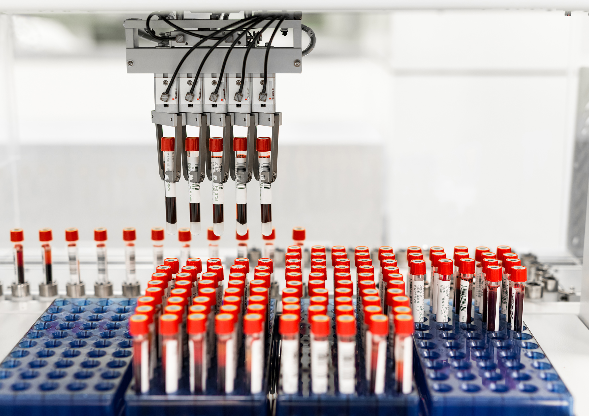 Life Sciences